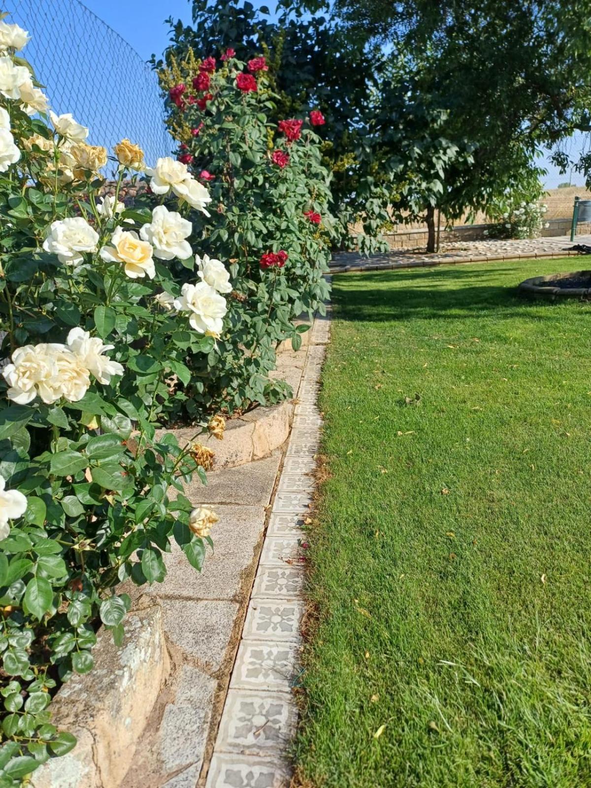 فيلا El Almendro Del Cura Villarmayor  المظهر الخارجي الصورة